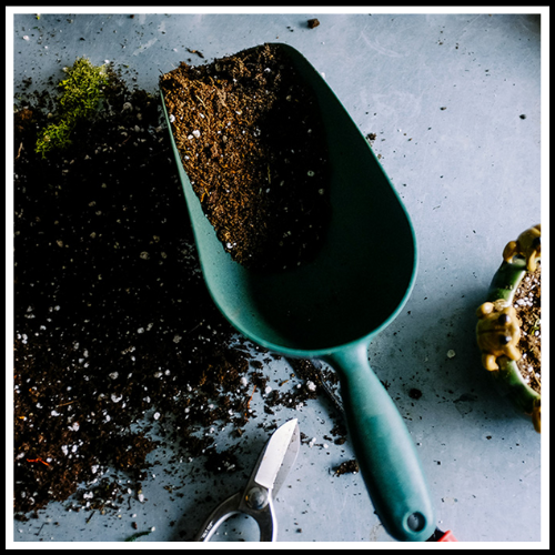 TERRICCIO UNIVERSALE ORGANICO BIOLOGICO NATURALE FERTILIZZANTE PER PIANTE CON HUMUS DI LOMBRICO