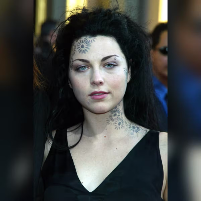 Evanescence - Afterlife Cover