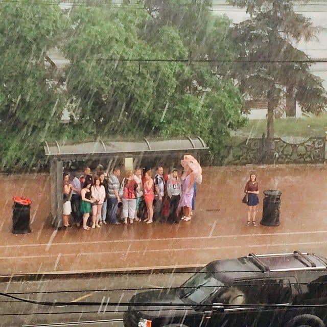 15 фотографий, доказывающих, что спокойствие спасет мир