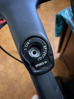 78E6E242-54EE-4266-826A-BC790CFE4EDE