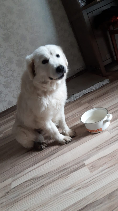 0C67664A-2B4A-4E7C-9342-D83907002363