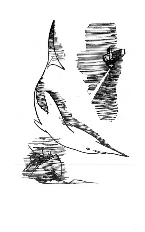 p0003