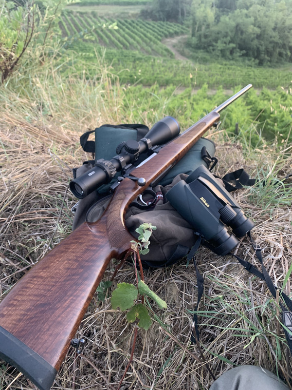 BF93DF13-EEBC-4F48-BD0E-E51AD89993F3