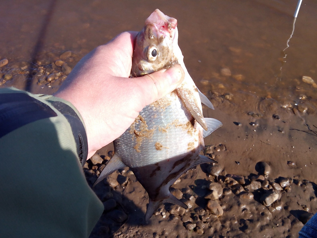 Подосиново 04.06.14 02