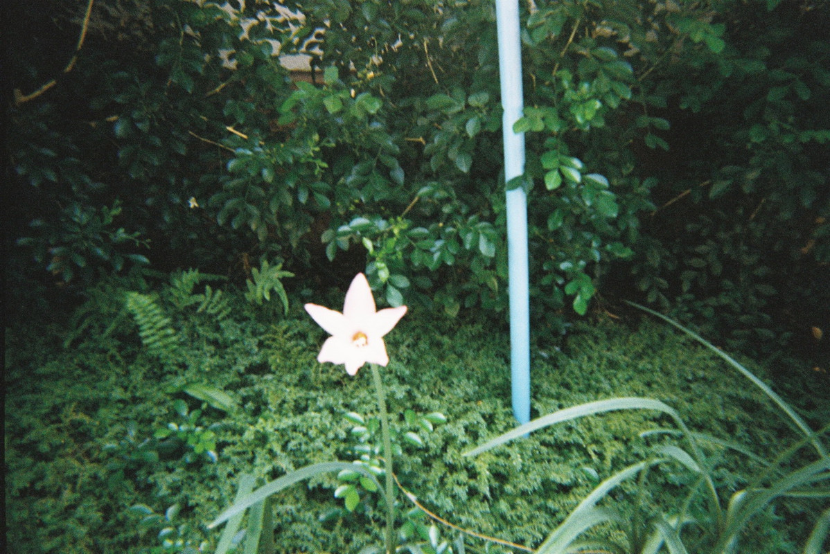 Kodak2-44-resize