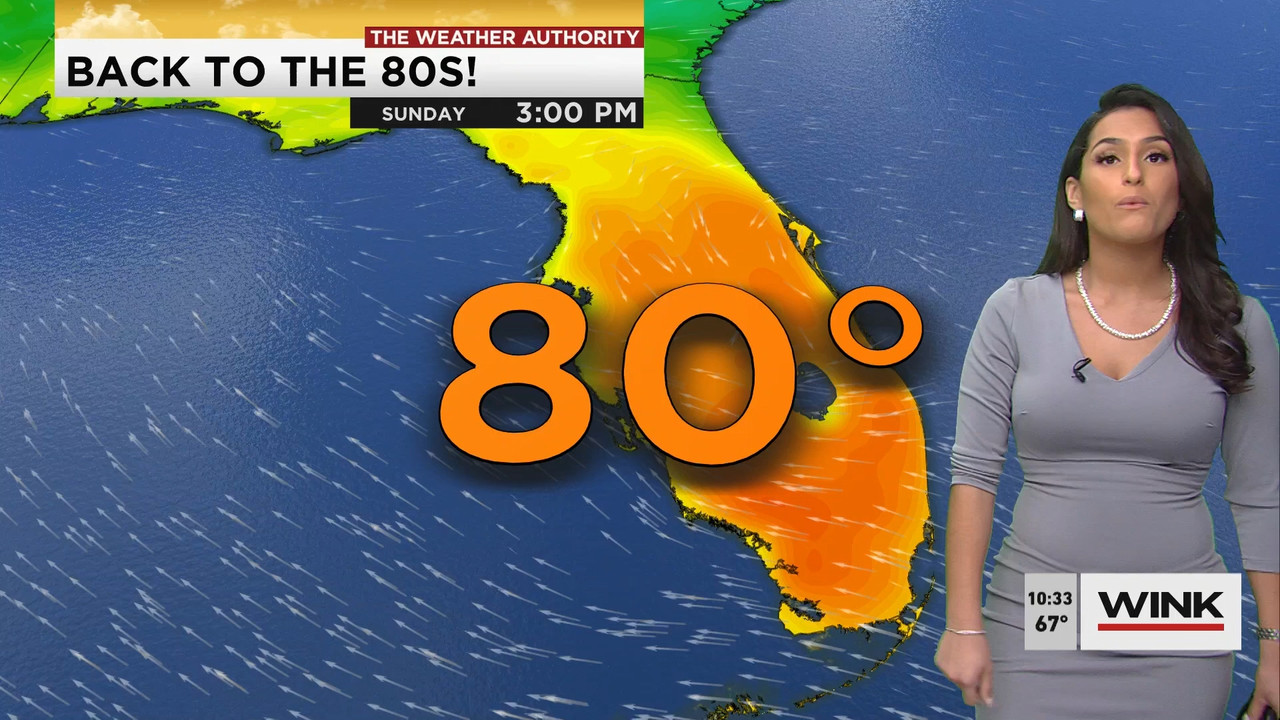 01.21 - 15.00.00 - WINK News at 10 00AM..ts_snapshot_00.39.07.690