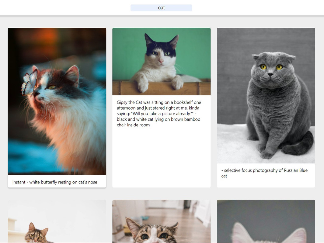Image Searcher - React