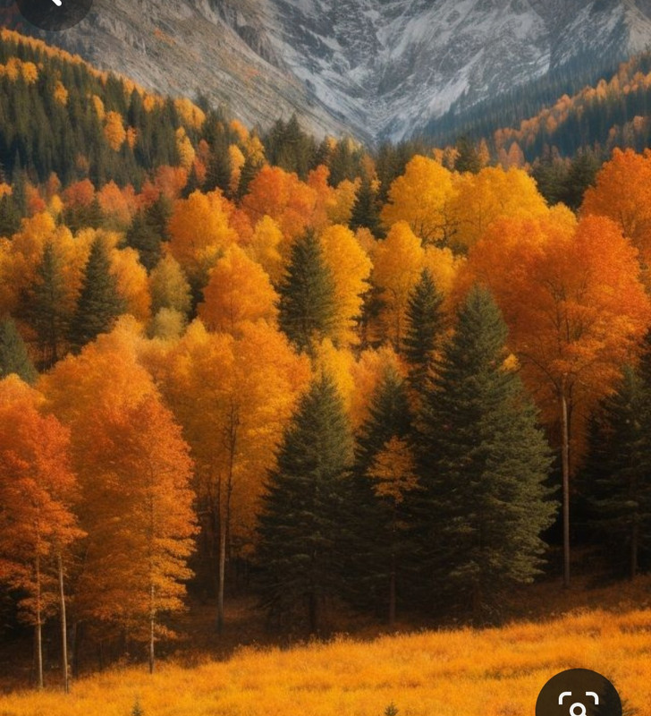 Screenshot_20240131_205938_Pinterest