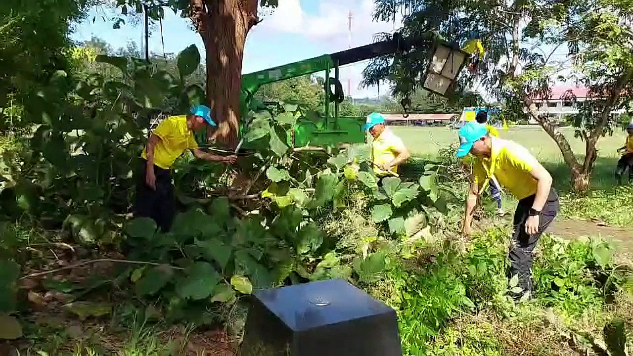 vlcsnap-2025-10-17-08h40m37s301