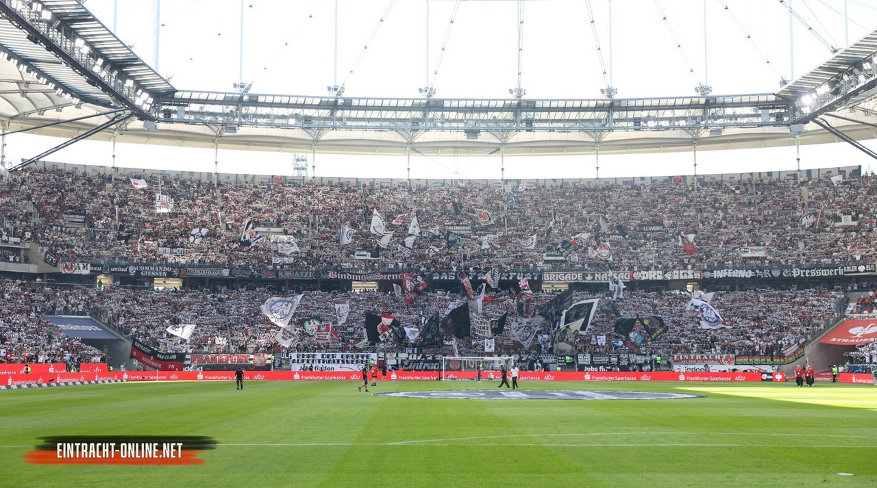 23-24-eintracht-frankfurt-sv-darmstadt-98-010.jpg-nggid046180-ngg0dyn-1500x835x90-00f0w010c010r110f1