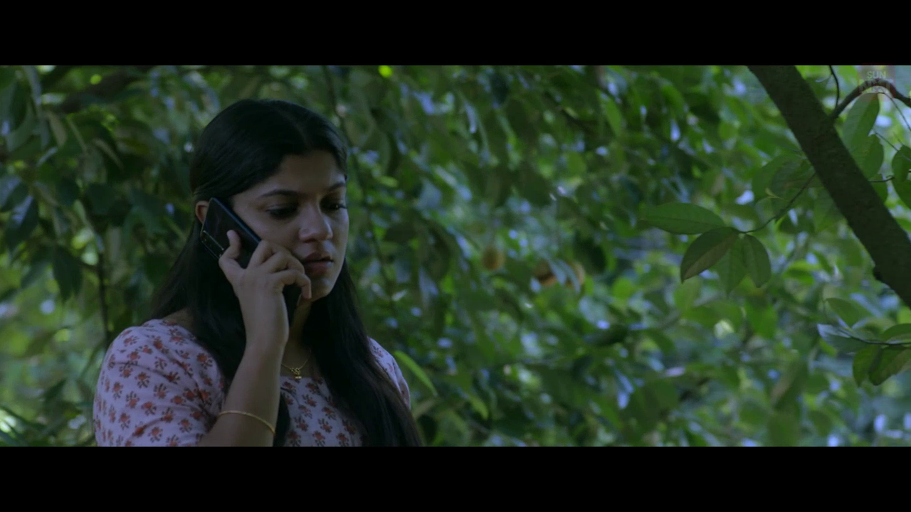 vlcsnap 2026 02 11 15h46m04s706