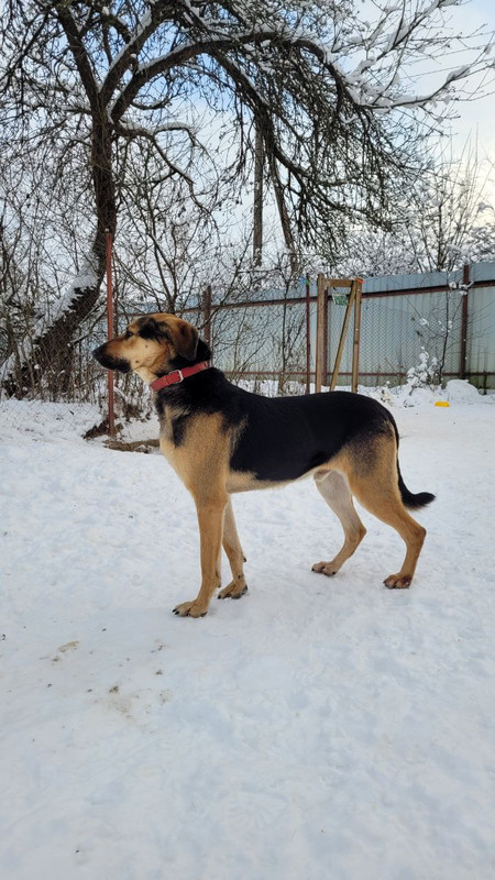 photo_2022-12-04_11-39-31 (2)