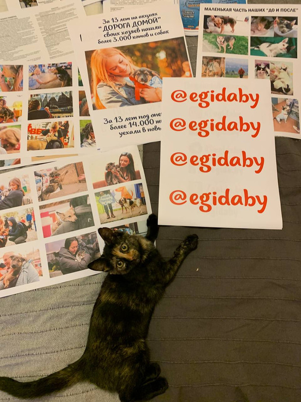 0F83DEB2-EA0A-4245-B5FF-11B7EF65AA66