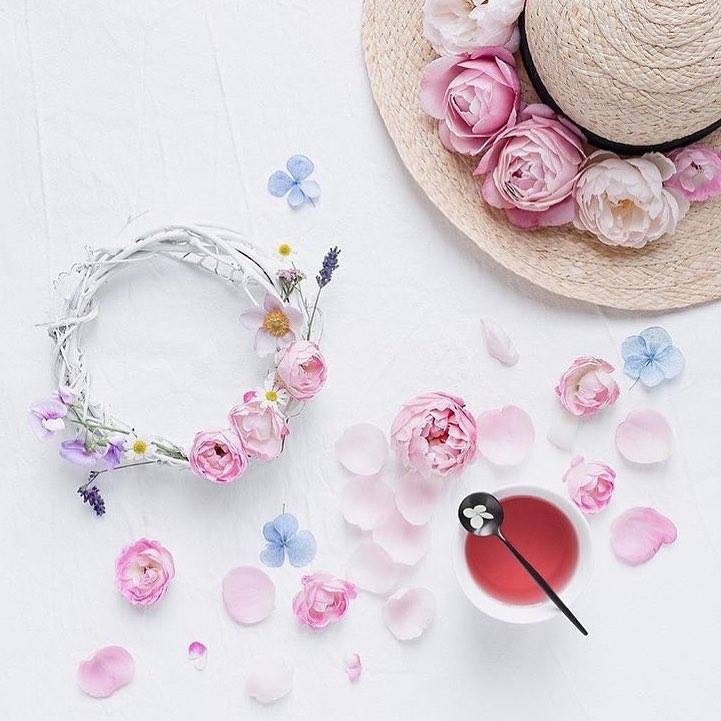 ���� ���� ������ �� ���� ������