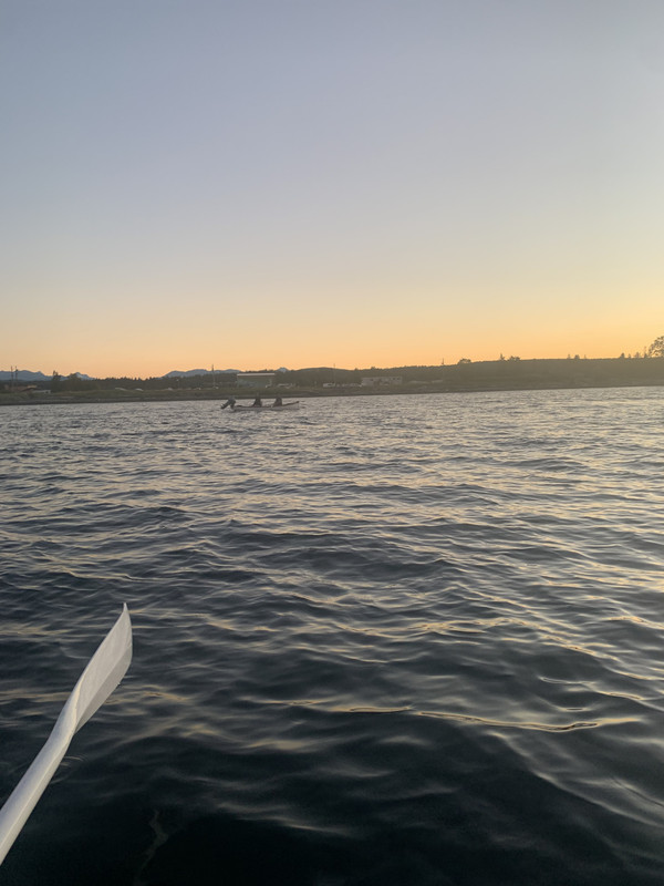 C16F9817-90AF-44F7-A506-B1BD1E609BD7