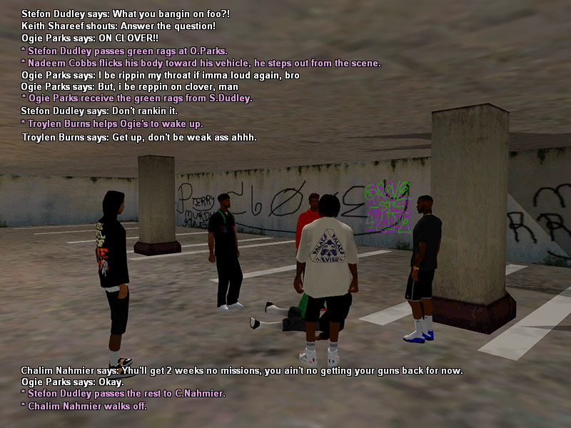 SSRP-13.png
