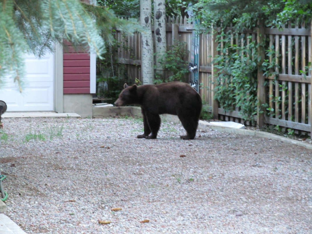 202540_3984512785740_69154250_o