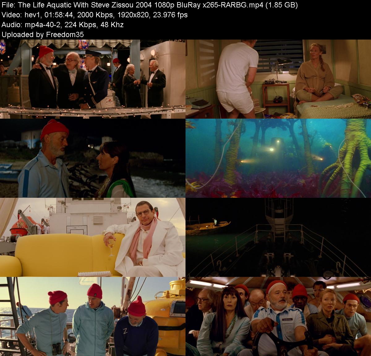 The-Life-Aquatic-With-Steve-Zissou-2004-