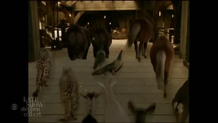 [Image: aju6oeb2j1c3.jpg]