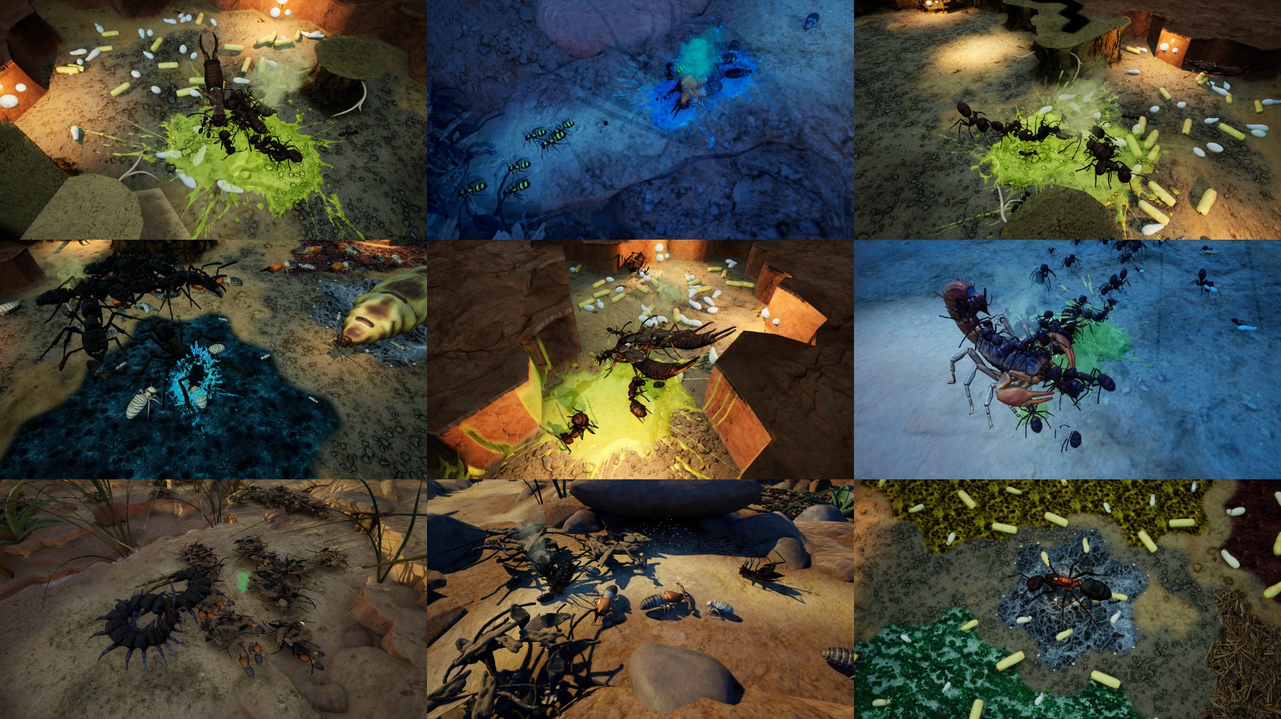 Empires-Of-The-Undergrowth-Exploding-Ants-Update-v1-2-1-1-0-3I-Kno-W.jpg