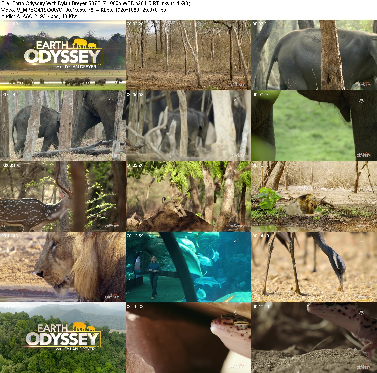 [Image: 2s0fttqel01j.jpg]