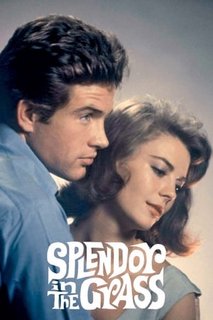 Splendor-in-the-Grass-1961-1080p-WEBRip-