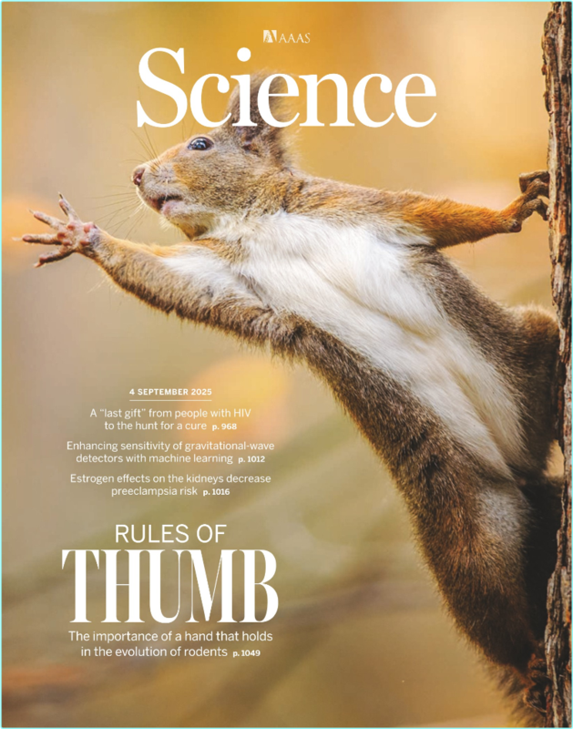 [Image: 6db2c1pqeo3q.png]