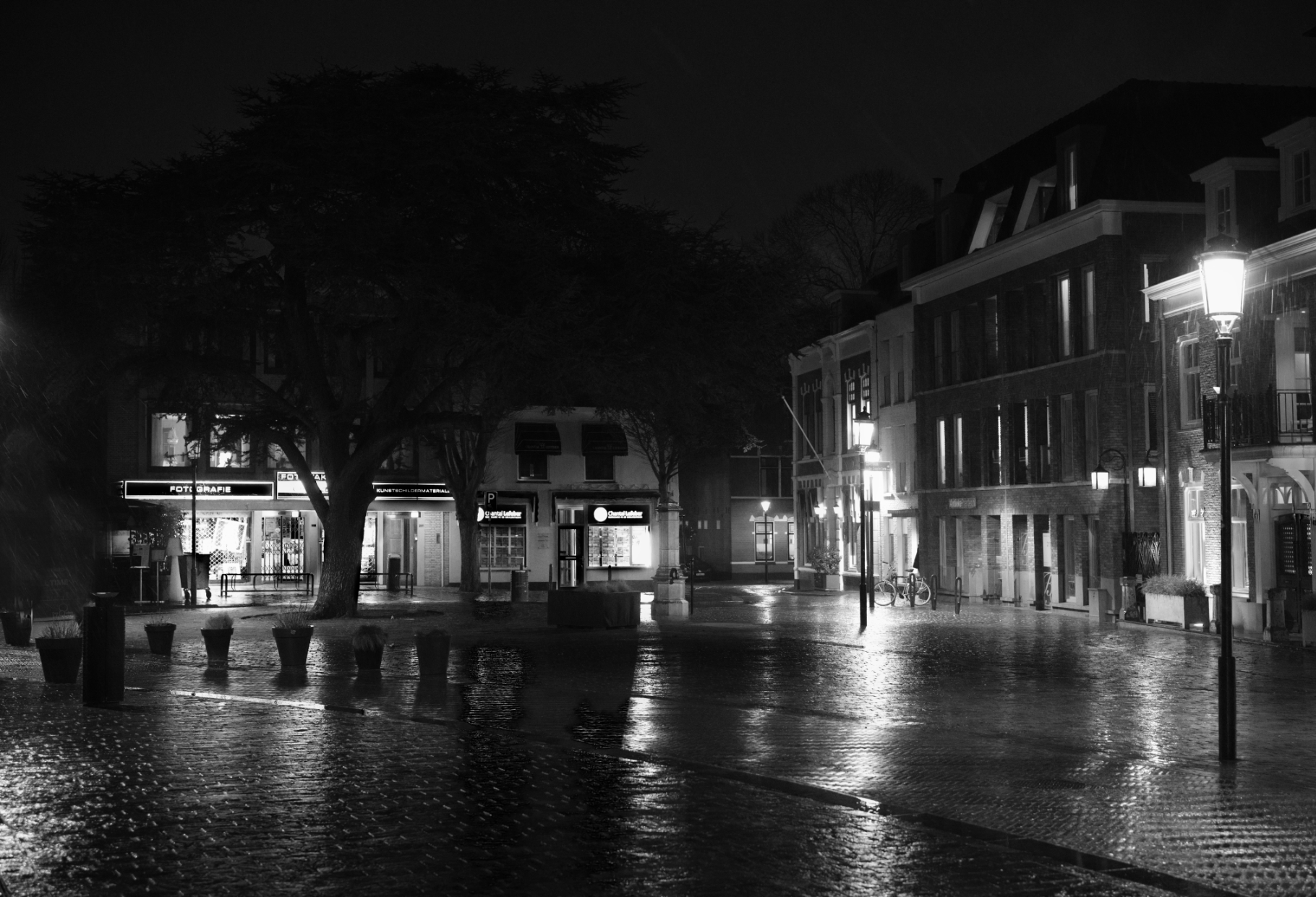 Fotografie