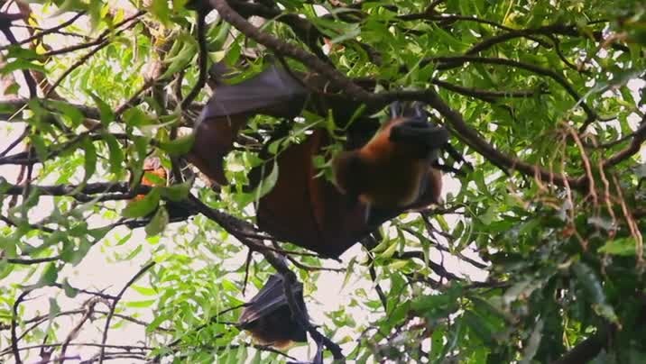 [Image: x0rsmrk3ts06.jpg]