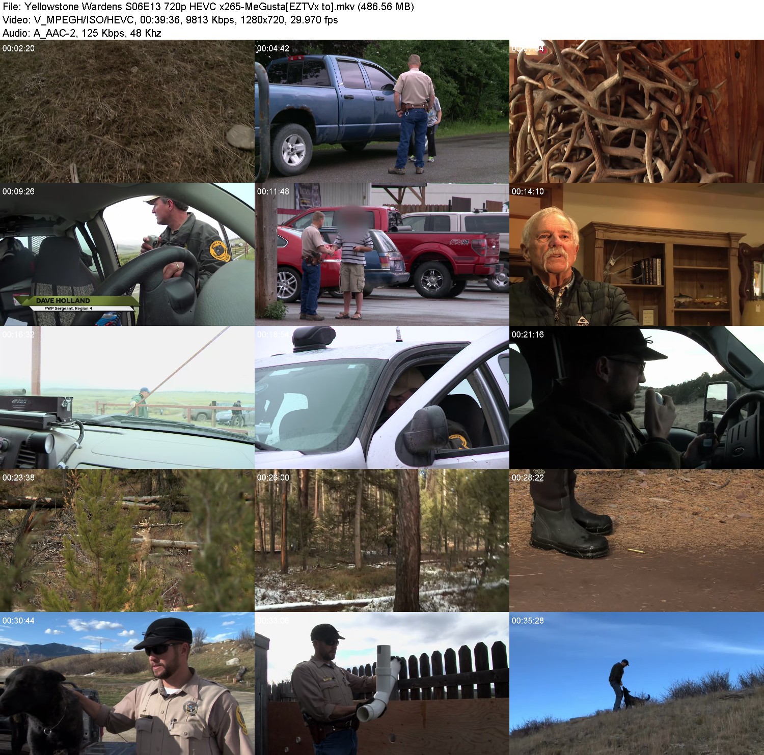 [Image: qulvqke41u13.jpg]