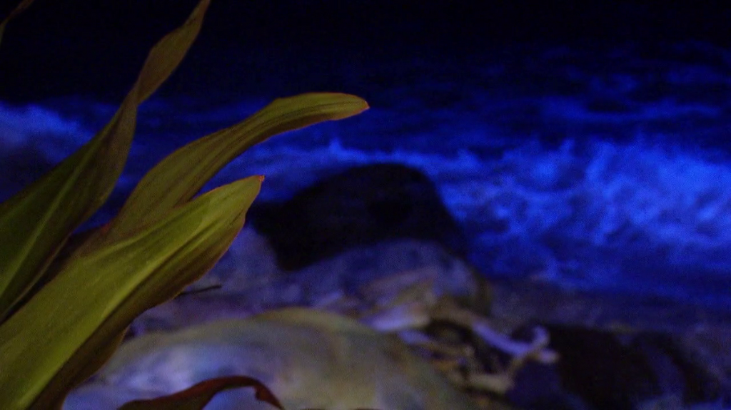 [Image: e80wf88tmnzt.png]