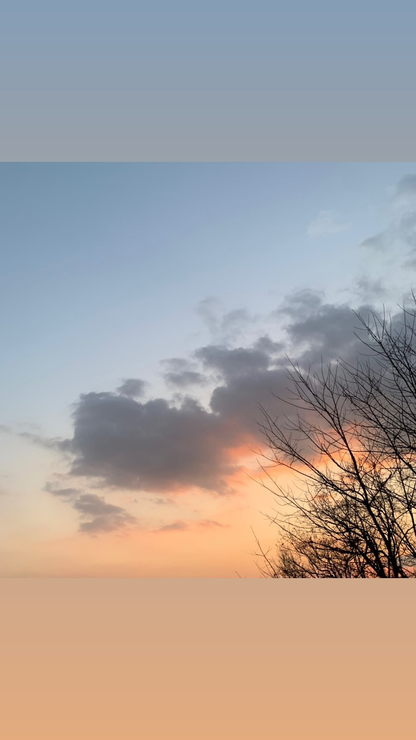 127460649-127055355853661-61160419516992