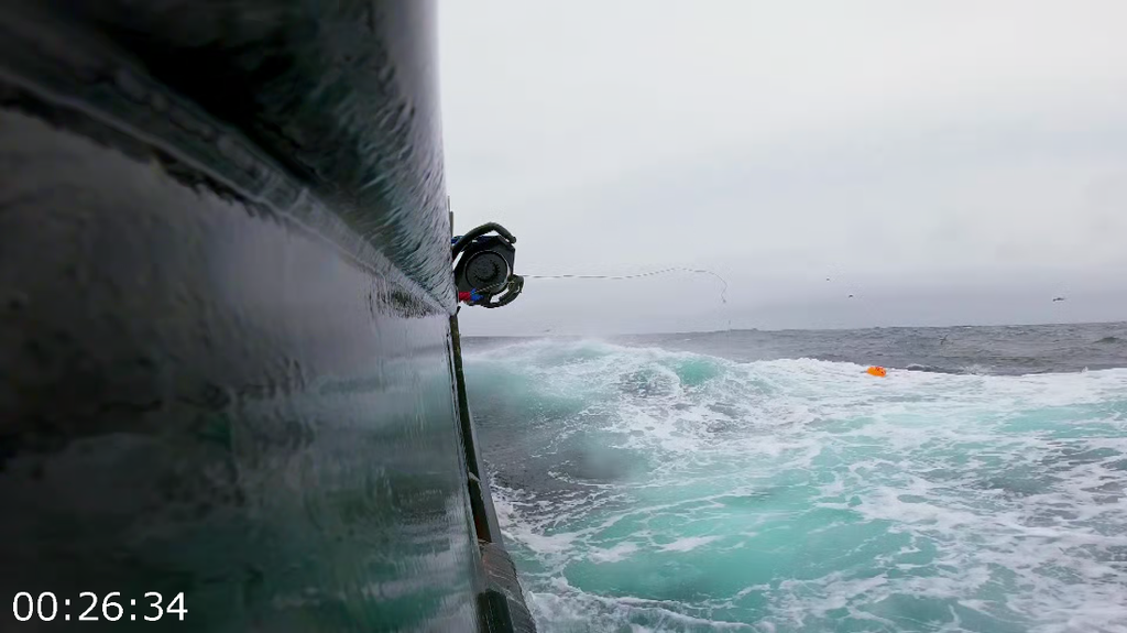 [Image: w8zcw2ui87gv.png]