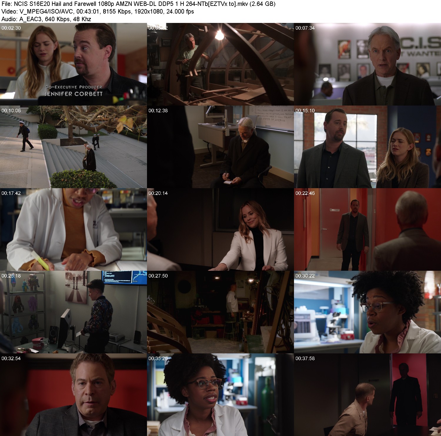 [Image: ifeja02re8e0.jpg]