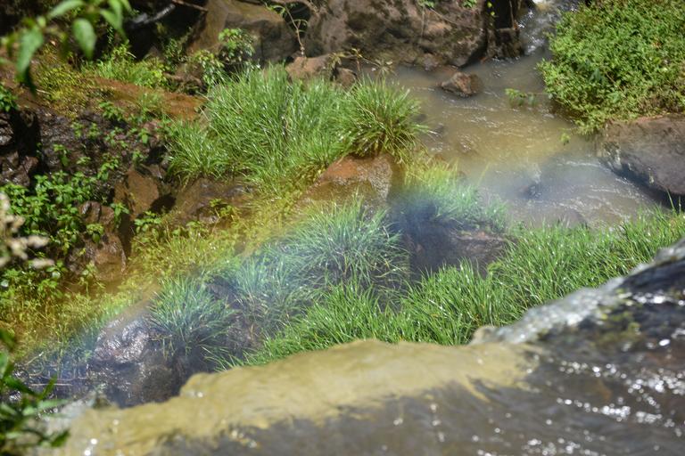 В джазе только девушки или аргентинско-бразильский калейдоскоп В джазе только девушки или аргентинско-бразильский калейдоскоп