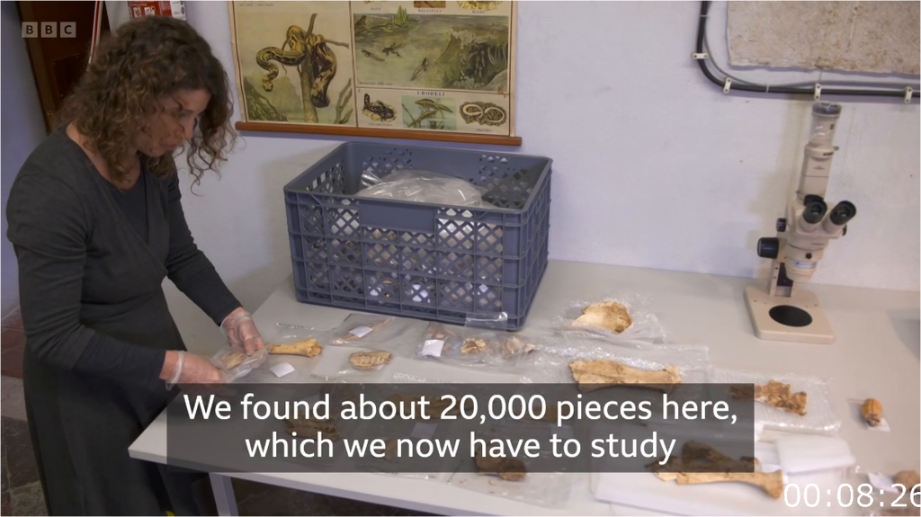 [Image: 6w29dfa0cfjq.png]