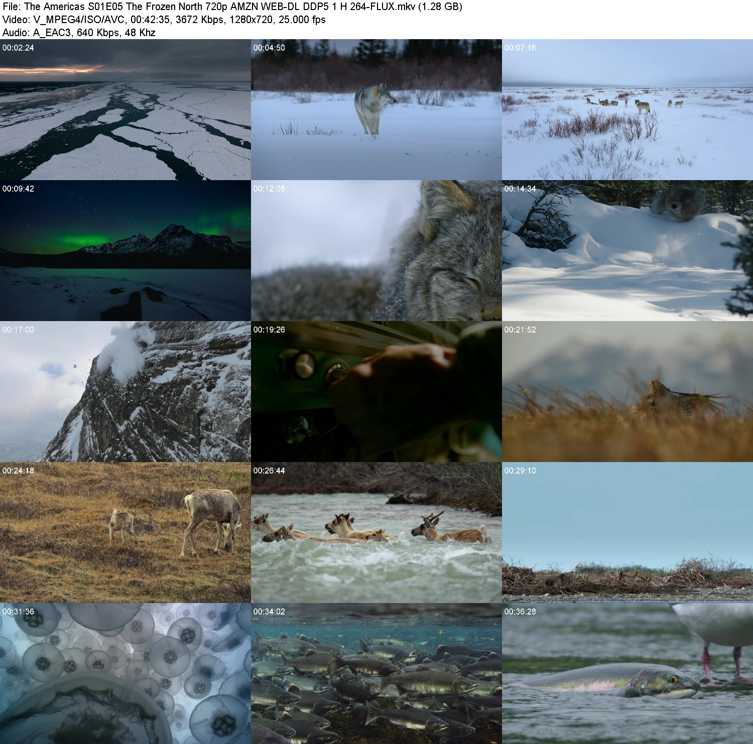 [Image: 6m37oh4jaffk.jpg]