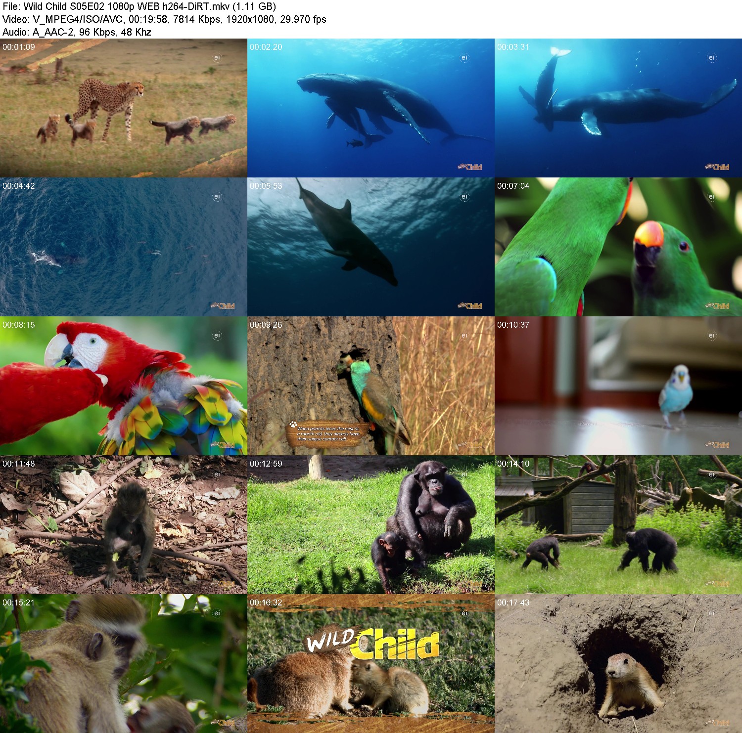 [Image: fomj45u2v1pt.jpg]