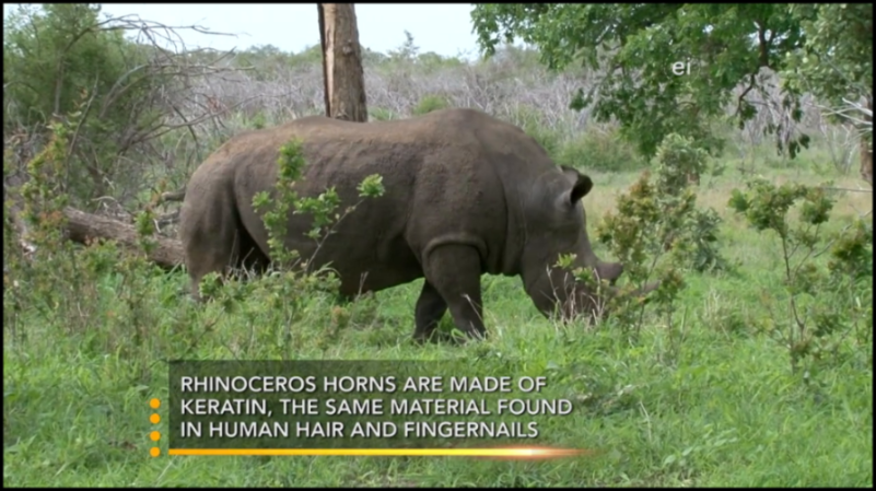 [Image: pcb78etxa6i4.png]