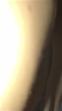 [Image: 1Face033589130202.jpg]