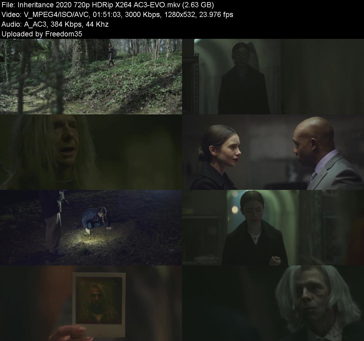 Inheritance-2020-720p-HDRip-X264-AC3-EVO