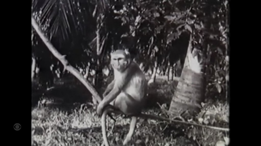 [Image: 3bvuycx8y56z.jpg]