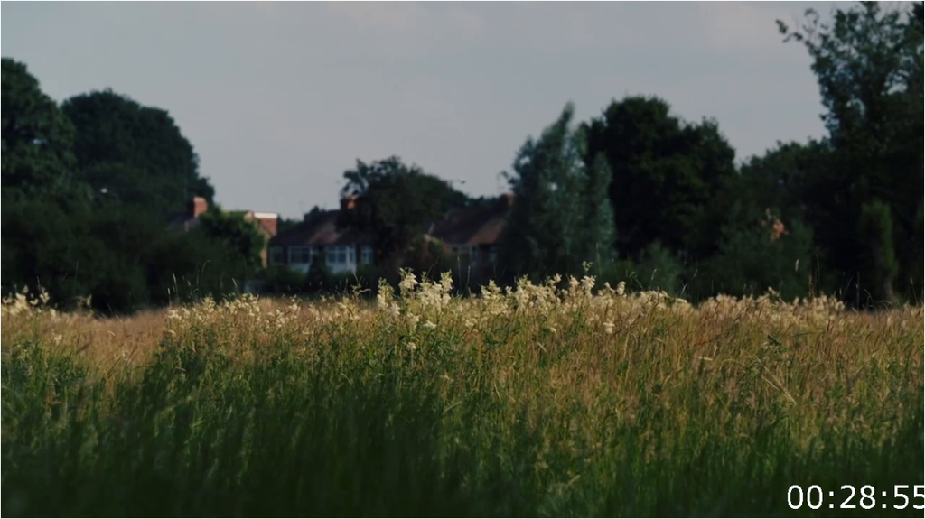 [Image: i3sqlna5w48q.png]