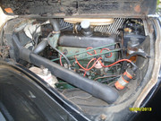SDC12242.jpg