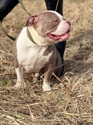 IMG_20230416_014822_047