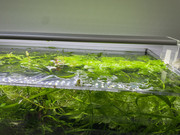 20220903_060758587_iOS