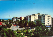 i.postimg.cc/2q6J1x9x/CCI-000475.jpg