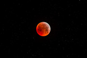 21012019-Eclipse-de-Lune-1920x1080-Photo-Xavier-Dauvin.jpg