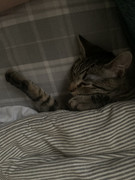 E35D9EC1-69B0-490C-8F27-76849D99DEF7