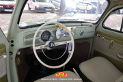 IMG-3545